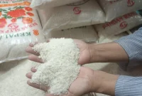 Harga Beras 1 Kg Mulai Mengalami Kenaikan